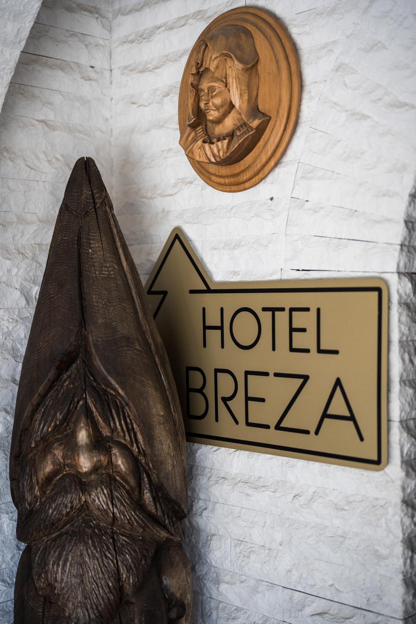 Breza Hotel Borowez Exterior foto